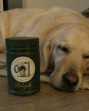 Sophie e il suo Golden Retriever