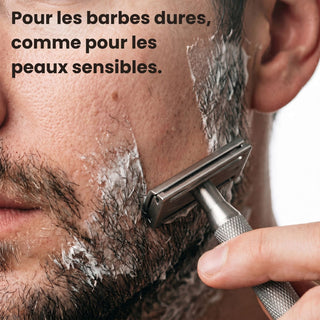 Lamier dans son univers