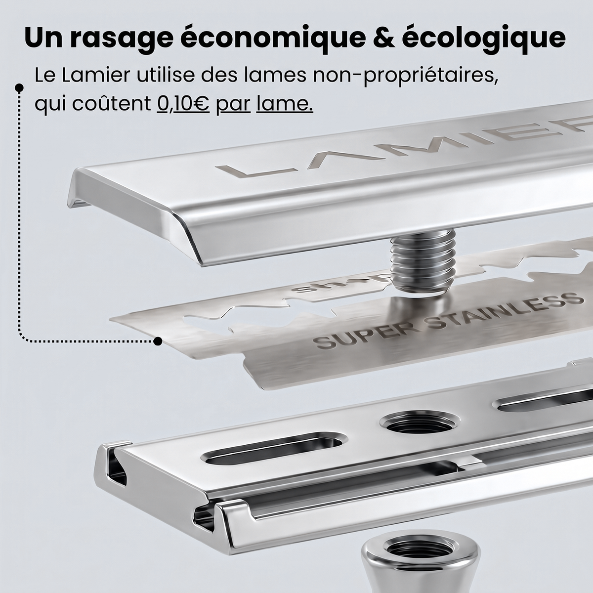 Lamier argenté, vue détaillée